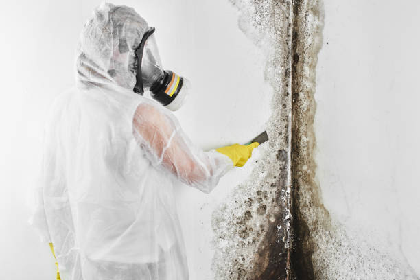 Best Crawl Space Mold Removal  in Sunnyside, WA
