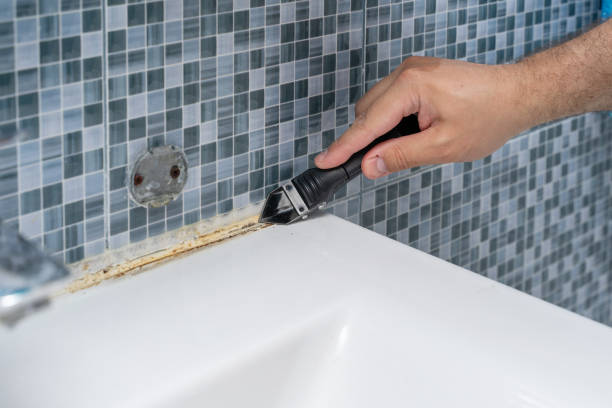 Best Same-Day Mold Removal  in Sunnyside, WA