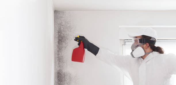 Best Mold Testing  in Sunnyside, WA