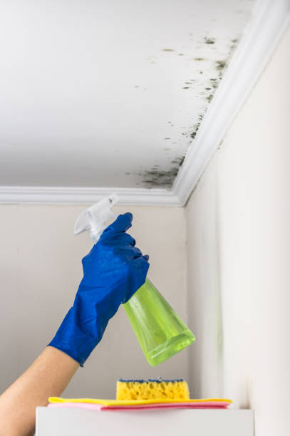 Best Fast Mold Removal  in Sunnyside, WA
